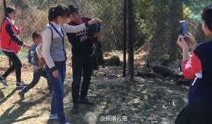 昆明景区内游客强行拔羽毛并拍照致孔雀死亡(图)