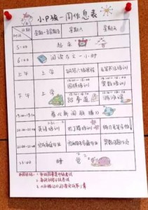 "北大虎妈"晒孩子作息 9岁儿子每天学18小时(图)