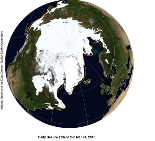 暖化！北极海冰面积创1979年来历史新低(图)