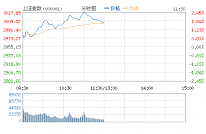 沪指涨逾2%站稳3000点 券商板块暴涨逾9%领涨(图)