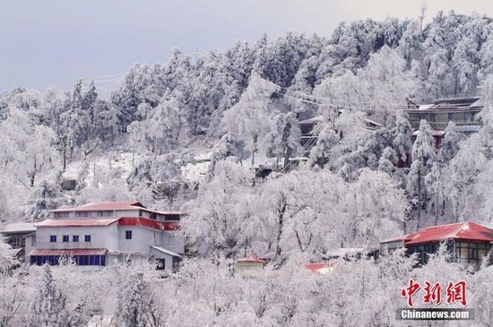 庐山罕见春雪雾凇同现 银装素裹如诗如画(组图)