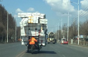 沈阳街头现“最牛倒骑驴” 乍看以为无人驾驶呢