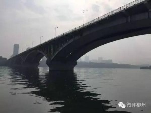 柳州市委书记谈市长溺亡:他选择了自己走的路(图)