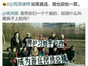 热贴：微博惊现争议图片 网民吁习近平当总统(图)