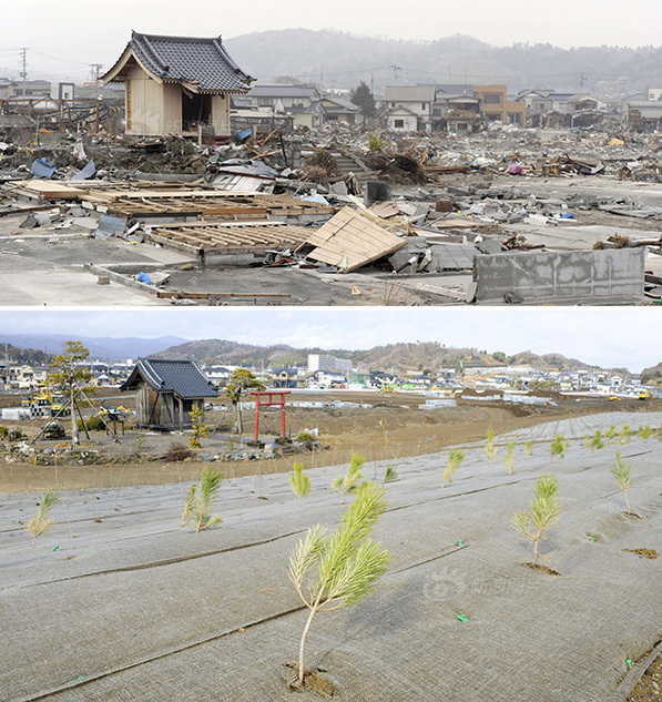 日本震后五周年：灾难瞬间·重建之路(组图)