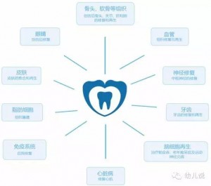 孩子乳牙掉了别再傻傻丢了,储存下来可救命！(图)