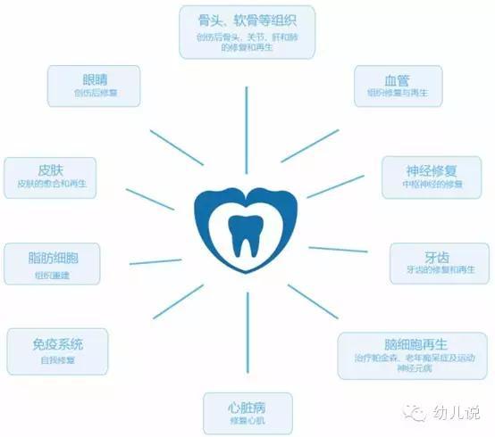 孩子乳牙掉了别再傻傻丢了,储存下来可救命！(图)