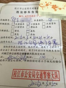 湖北私家车遇奇葩罚单:  在公园进行车震(图)