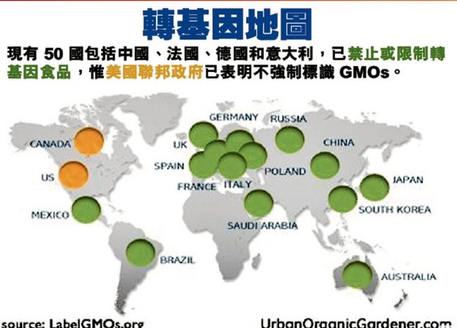 健康热帖：转基因食品日益增多 你每天吃多少？