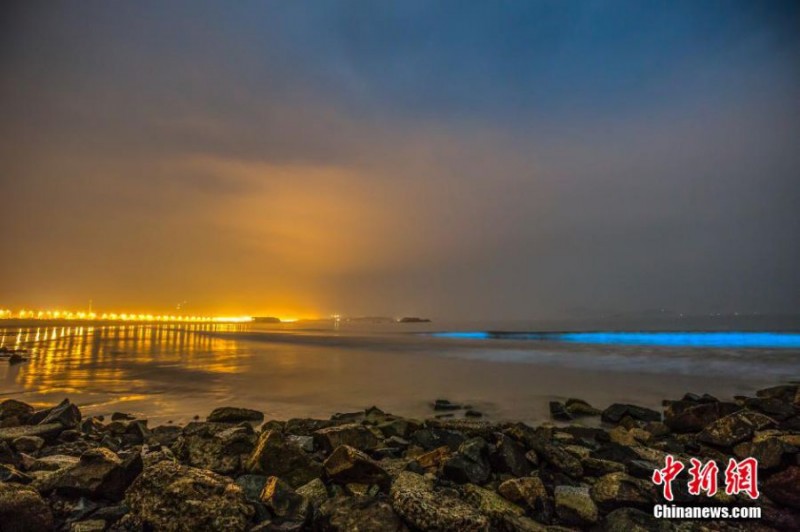 福建沿海频现“蓝眼泪” 海岸线璀璨如银河(组图)