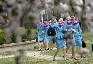 天津准空姐海棠花下留影 人花争艳(高清组图)