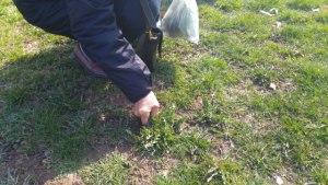 在耶鲁种菜的中国陪读家长们 过着怎样的人生？