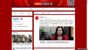 环球时报炮轰“凤姐” 中国网民纷纷反击(组图)