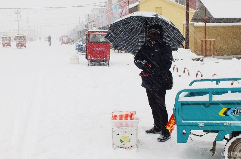 内蒙古四月遭遇暴雪 街头积雪深达30厘米(组图)