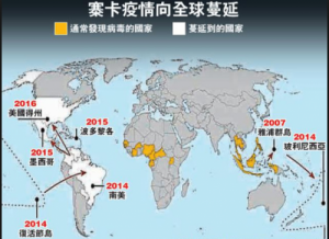 数千人或携带寨卡病毒返美 恐大规模传播(图)