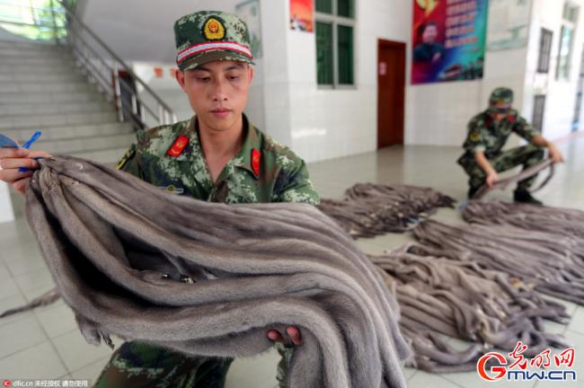 走私走出新花样！"高空抛物"偷运貂皮还是被抓了