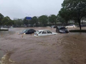 暴雨怒袭武汉！看海模式已开启 (高清组图)