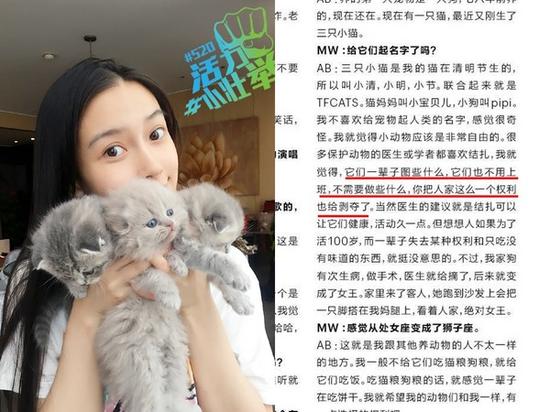 Baby养折耳猫反对结扎 被炮轰“无知多读书”(图)