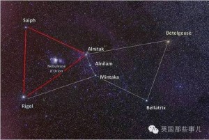 玛雅古城竟被15岁少年找到,专家已找百年(组图)