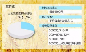 中国农村现状：80后不会种地 90后不提种地(组图)