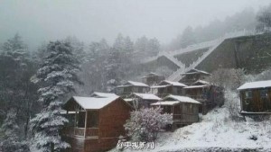 陕西太白山降温五月现飞雪 积雪厚达5厘米(组图)