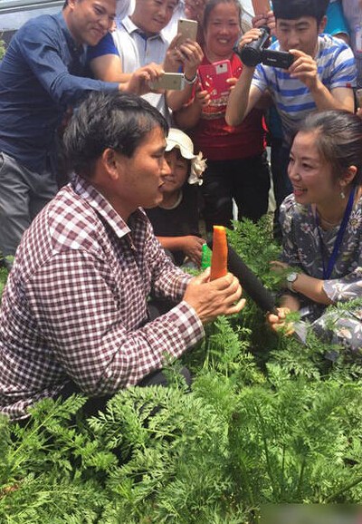 朱之文蹲菜地边啃萝卜边受访 还有粉丝应援(组图)