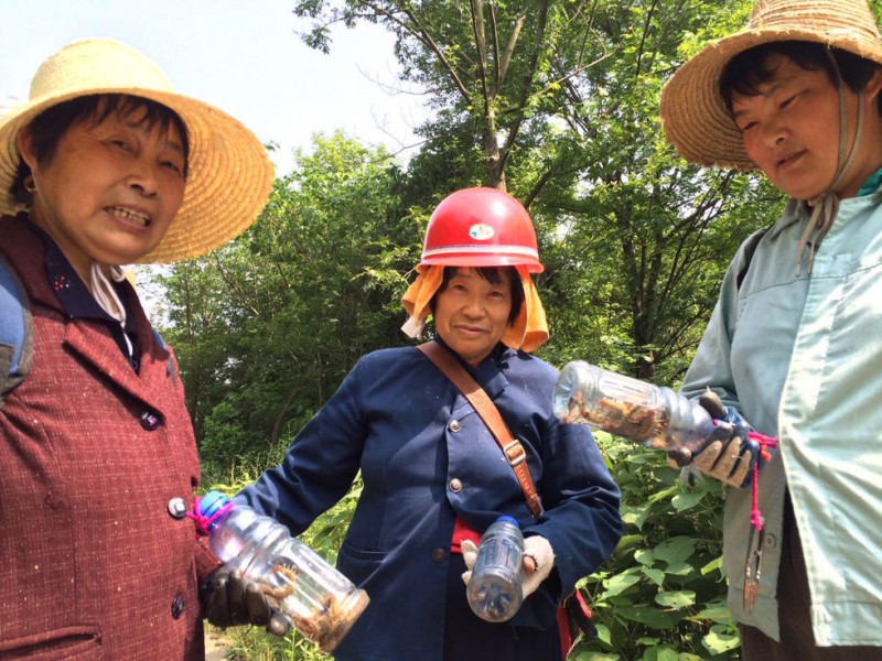 安徽巢湖女"药农"翻山越岭捉蜈蚣补贴家用(组图)