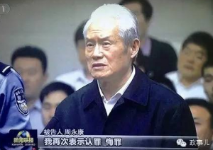 "活着要进中南海死了要入八宝山"的野心家都有谁