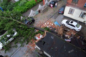 郑州遭暴风雷电袭击 大树被吹倒砸毁私家(高清图)