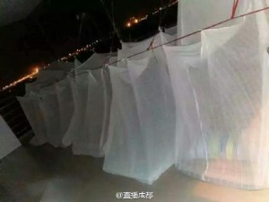 大写的心疼:成都高校女生集体搬楼顶抢床位(组图)