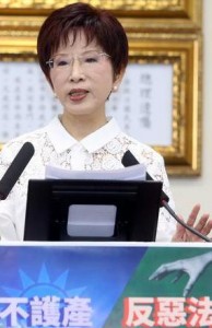 洪秀柱称将清理国民党党产  扣除负债后捐给公益