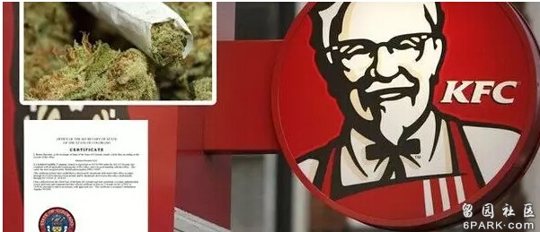 加拿大KFC获特许卖医用大麻 推出大麻黄油套餐