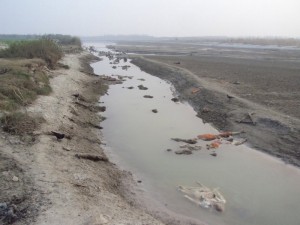 世界最脏河流  数千浮尸与活人共浴(图)