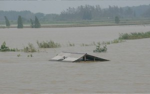 为保住武汉，这些小镇吞下了大半洪水却没人管