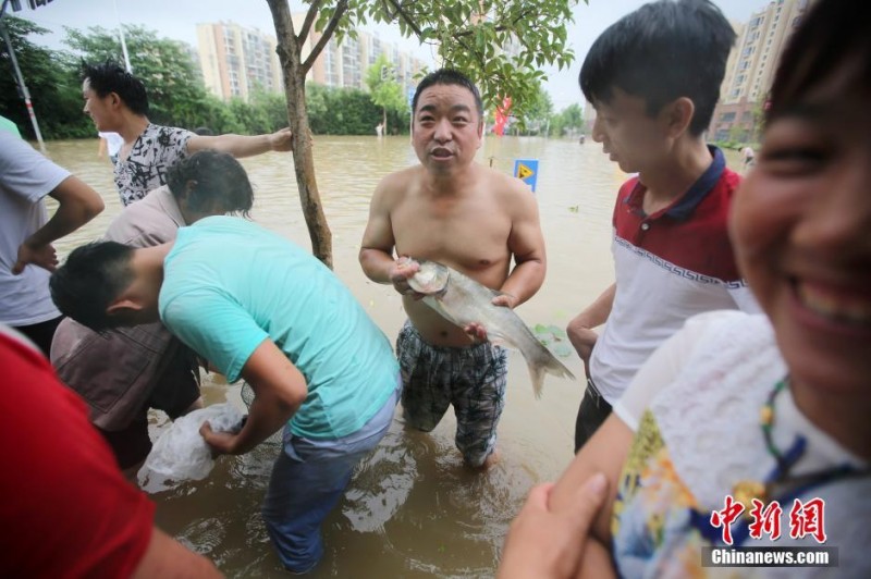 南京内河水位上涨 城区成"渔港"(高清组图)