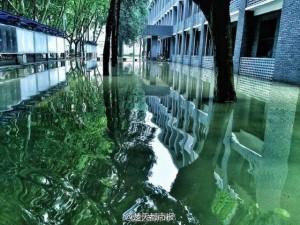 暴雨后的南京理工大学刷爆朋友圈 变"奇幻森林"