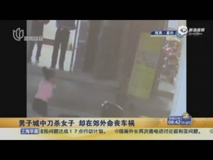 离奇！男子闹市砍4死女子淡定离开 不久被车撞死