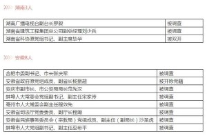 巡视组"回头看"4省30官员被点名 他们都是谁(图)