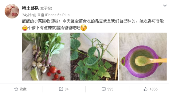 章子怡自己种菜喂女儿 萝卜有点辣留给汪峰(图)