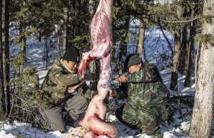 血腥慎入：西伯利亚捕狼人的狩猎生活(高清组图)