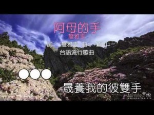 阿母的手MIDI伴奏KTV