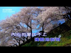 那英-出賣-KTV