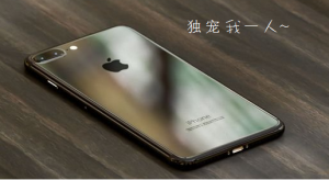 媒体：订购刚开始几分钟 香港iPhone 7即售罄(图)