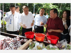 热帖：重用李鸿忠 中南海有何特殊考量?