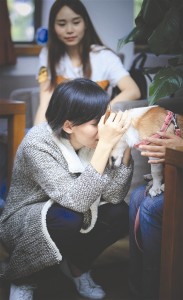 重病女孩跨千里为爱犬寻新主人 只提一个要求(图)