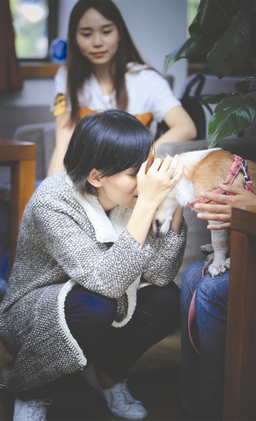 重病女孩跨千里为爱犬寻新主人 只提一个要求(图)