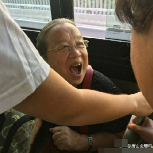 80岁“容嬷嬷”坐公交 网友调侃：没带针！(组图)