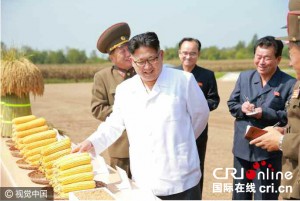 金正恩视察军队农场 手持玉米笑容满面(组图)