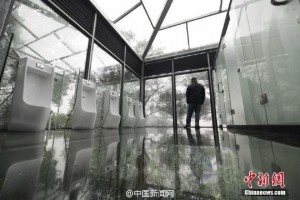 静观其便！湖南现透明厕所 男女仅隔一玻璃(组图)