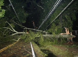 强飓风登陆佛罗里达 狂风暴雨 大树折断倒路中